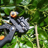 The Gardener's Grafter