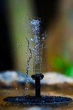 Solar Powered Bird Bath and Pond Fountain