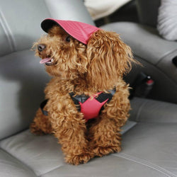 Machiko Dog Hat, Protect Your Dog's Eyes From The Sun In Style!