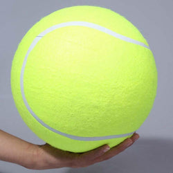 Mr. Buster's BIG Tennis Ball