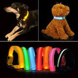 Mr. Safey's Night Glow Collar with Flash LED