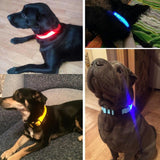 Mr. Safey's Night Glow Collar with Flash LED