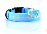 Mr. Safey's Night Glow Collar with Flash LED