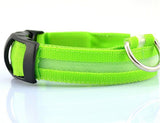 Mr. Safey's Night Glow Collar with Flash LED