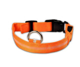 Mr. Safey's Night Glow Collar with Flash LED