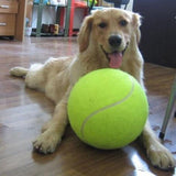 Mr. Buster's BIG Tennis Ball