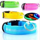 Mr. Safey's Night Glow Collar with Flash LED