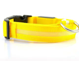 Mr. Safey's Night Glow Collar with Flash LED