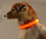 Mr. Safey's Night Glow Collar with Flash LED