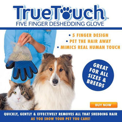 TT Deshedding Glove IS BACK!