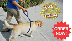 Instant Dog Training Leash - Vet Approved